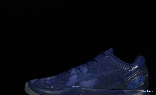 Kobe ASG 6 LA Nike 448693-400 East  0511
